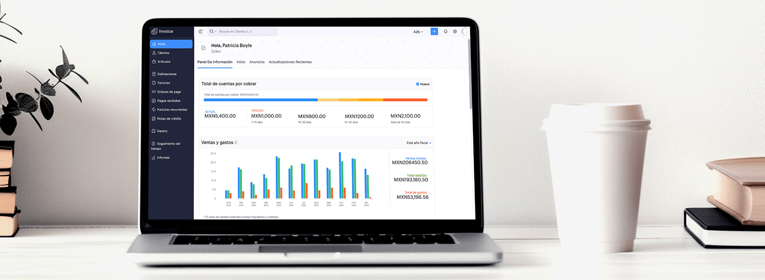 Get your metrics from Zoho Invoice Web-app dashboard