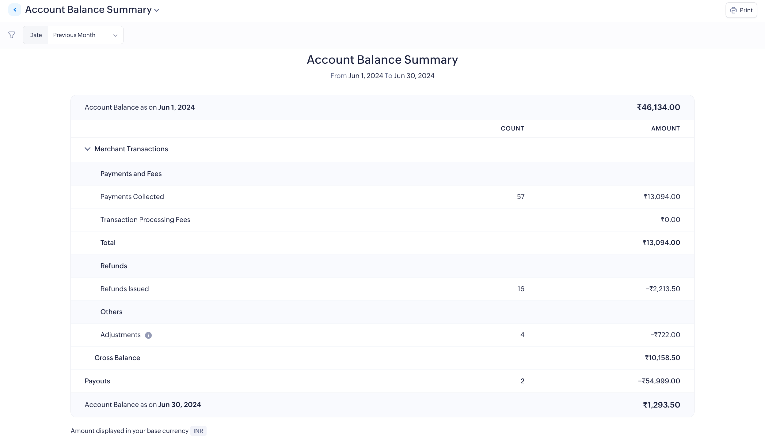View Account Balance Summary Report
