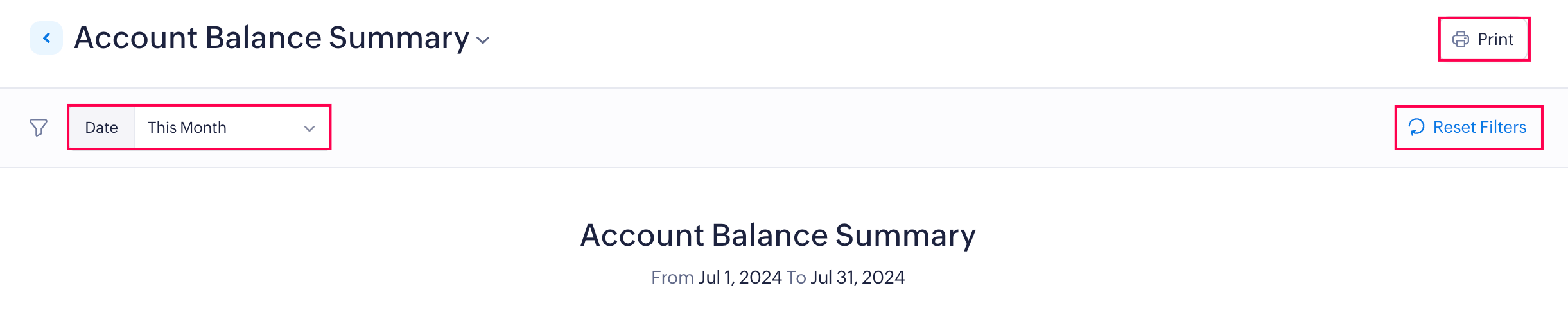 Filter and Print your Account Balance Summary Report
