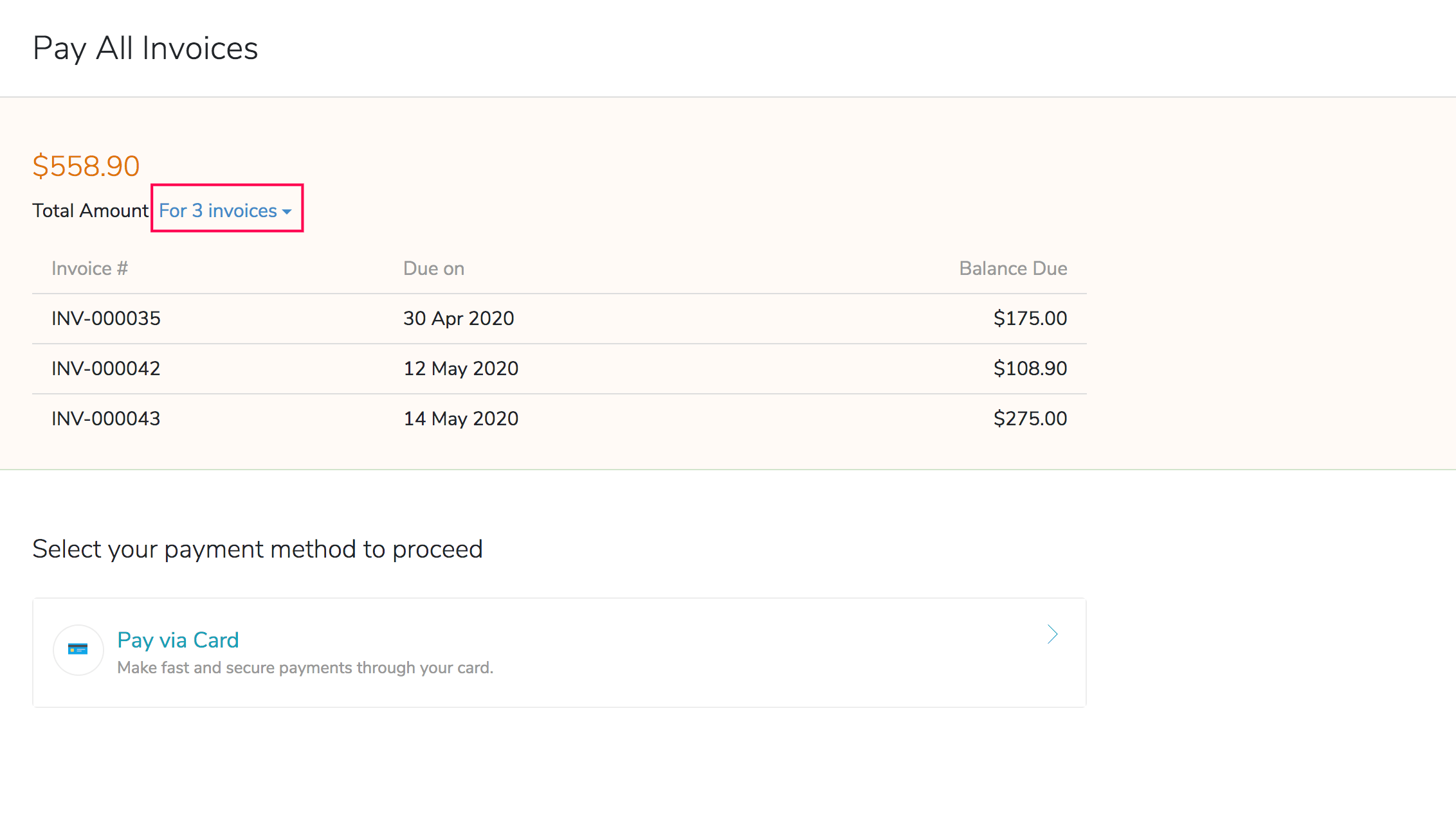 Invoice Payment Details