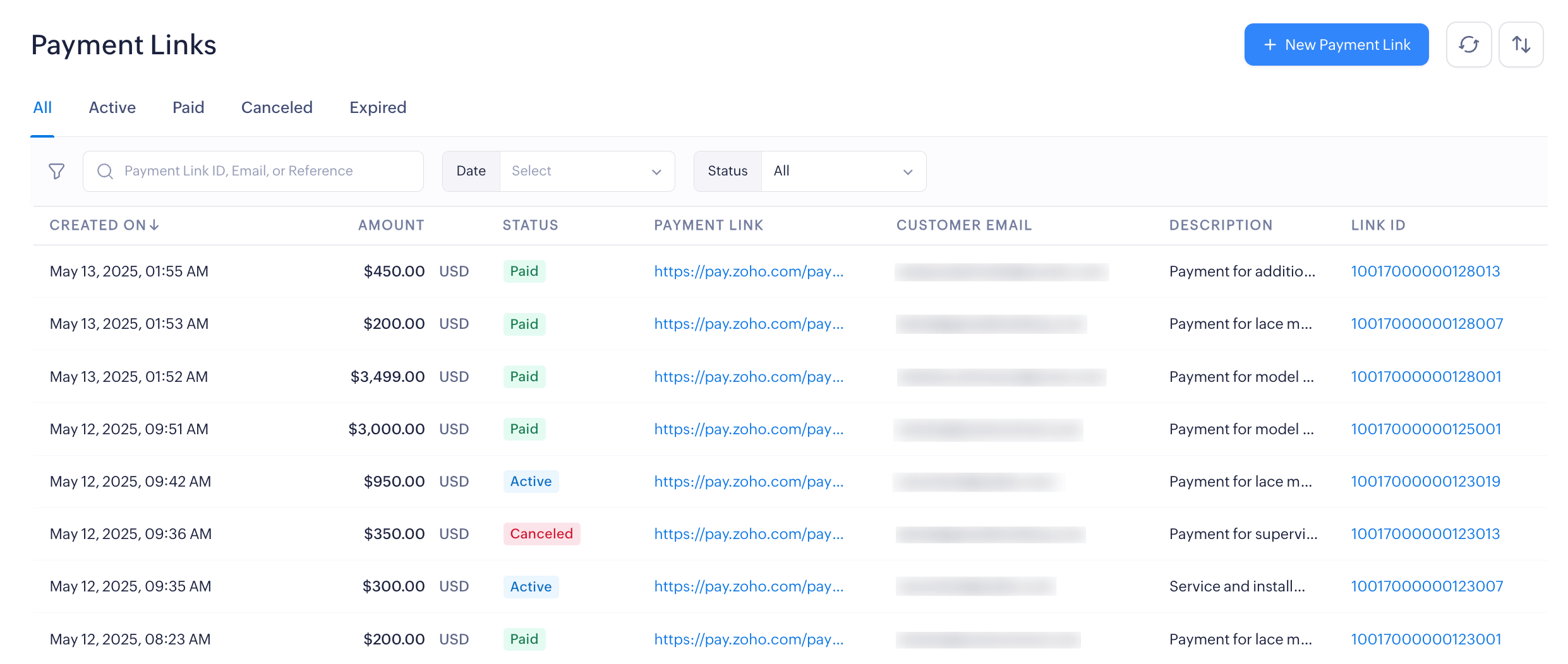 View the generated payment link